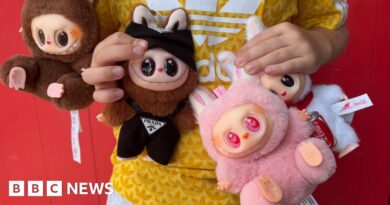 TikTok Labubu trend exploited by criminals with dangerous fakes