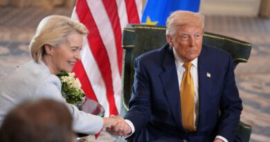 Trump Pushes To Exclude US Companies From EU Sustainability Due Diligence Law