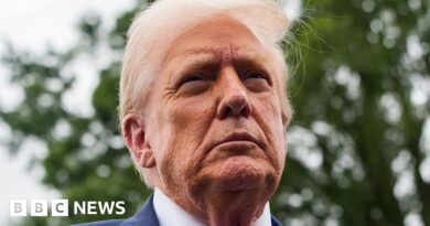 Trump fires lead official on economic data as tariffs cause market drop
