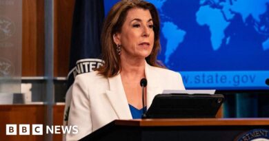 Trump nominates ex-Fox host Tammy Bruce as deputy UN ambassador