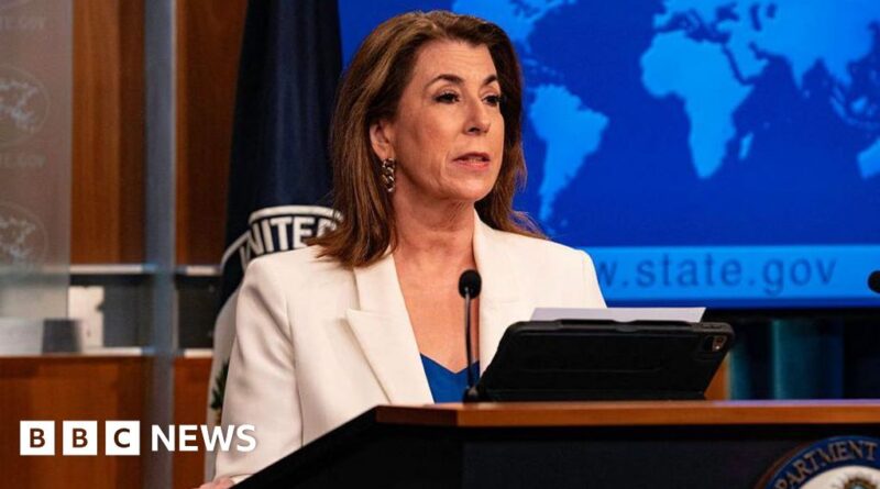 Trump nominates ex-Fox host Tammy Bruce as deputy UN ambassador