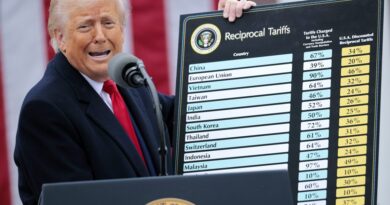 Trump's reciprocal tariffs are struck down by federal appeals court, putting trade deals and huge revenue windfall at risk