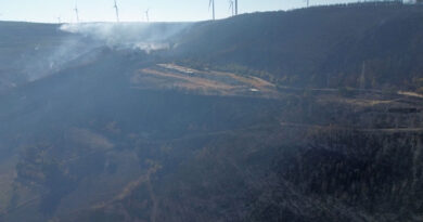 Turkey battles wildfire in northwest for second day after evacuations