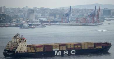 Turkey blocks Israel-linked ships from using its ports: What to know