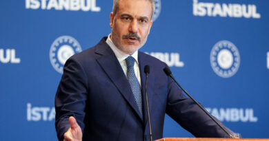 Turkish foreign minister to discuss Israel's Gaza City plan in Egypt visit, source says