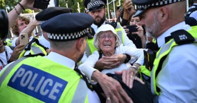 UK police arrest hundreds for backing banned pro-Palestine group