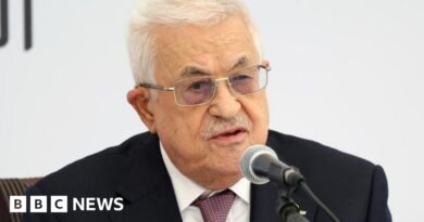 US to stop Palestinians attending UN meeting in New York