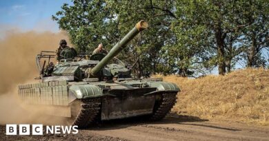 Ukraine's borders must not be changed by force, EU leaders say
