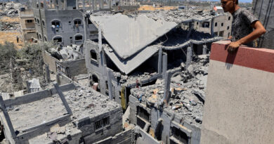 WHO reports release of staff member detained by Israeli forces in Gaza