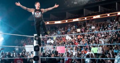 WWE SummerSlam 2025 Results As CM Punk Beats Gunther, Seth Rollins Cashes In