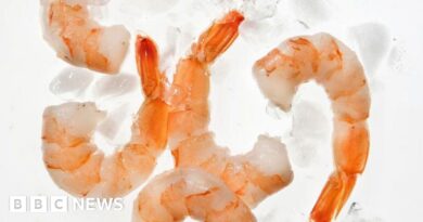 Walmart recalls possibly radioactive shrimp after public warned not to eat