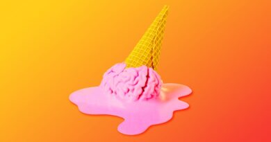 Welcome to brain rot summer