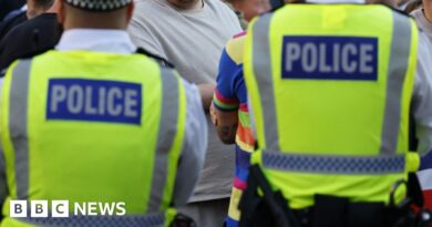 West Drayton: Five arrests after protests at migrant hotels
