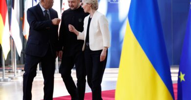 What are Zelenskyy, Europe demanding of Trump ahead of Putin summit?