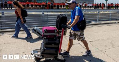 What to know as Air Canada flights grounded and attendants strike
