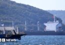 Wildfires force Turkey to shut Dardanelles Strait to shipping
