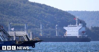 Wildfires force Turkey to shut Dardanelles Strait to shipping