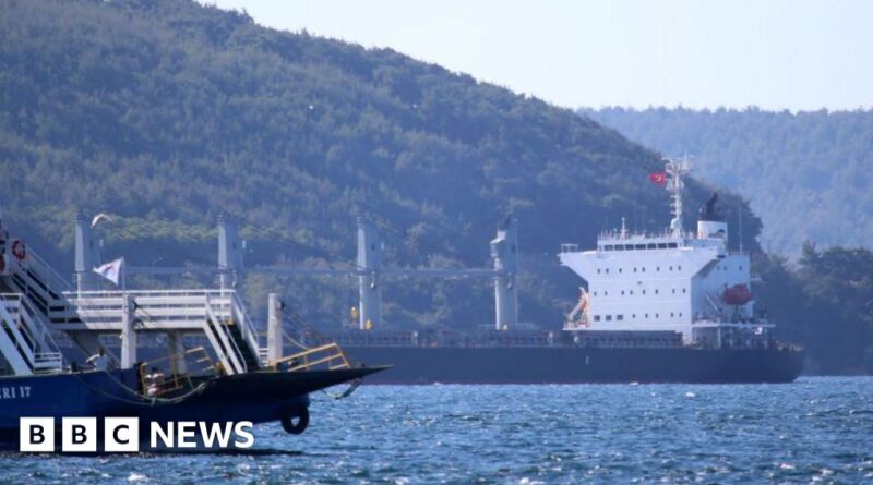 Wildfires force Turkey to shut Dardanelles Strait to shipping