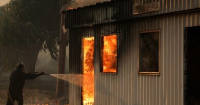 Wildfires scorch Greece as heatwave grips parts of Europe