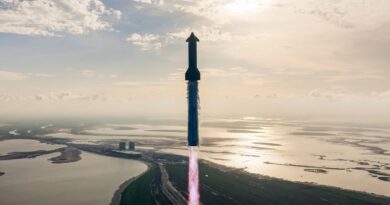 Starship Flight 10