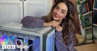 Women in gaming: Twitch streamer Alyska and the female gamers defying stereotypes
