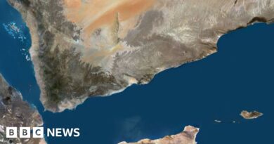 Yemen migrant boat: more than 50 dead as vessel capsizes
