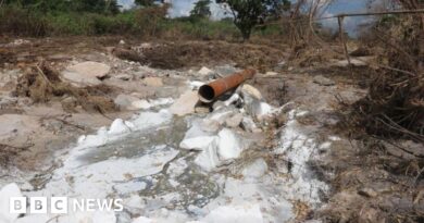 Zambia dismisses US health warning after toxic spill in Kitwe's copper mining area
