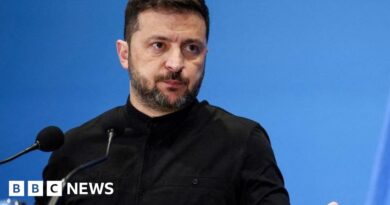 Zelensky rules out ceding Donbas region as Russians make fresh advance