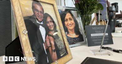 'Grieving for our parents killed in Air India crash will never end'