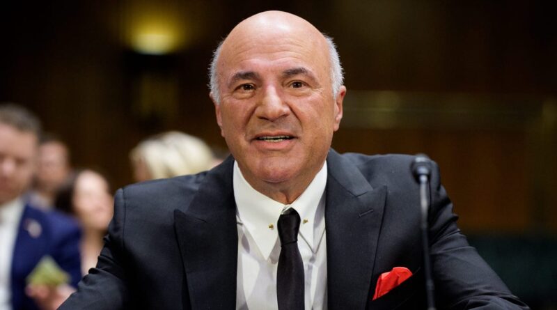 'Shark Tank' star Kevin O'Leary isn't stressing about an AI bubble or tariff pain