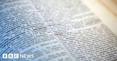'Skibidi' and 'tradwife' among words added to Cambridge Dictionary