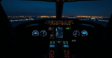 ‘Alarming’: British Airways pilot left cockpit door open mid-flight for family; grounded
