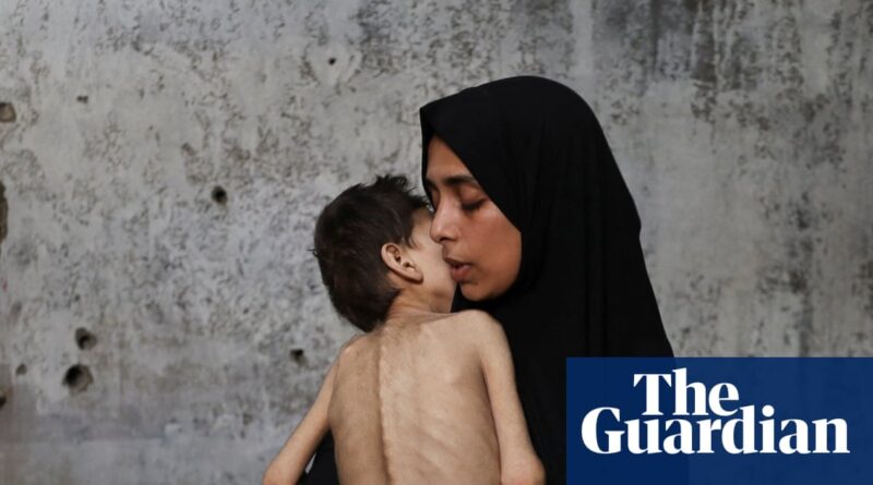 ‘We are dying slowly, save us’: starvation takes hold in Gaza after a week of appalling milestones