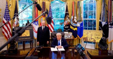 4 tech and business leaders who got their start on an H-1B visa
