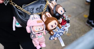 A Pop Mart exec wants Labubu and other blind box characters to have Mickey Mouse's staying power