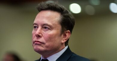A Tesla engineer quit after 8 years and slammed Elon Musk's leadership on the way out