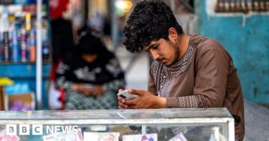 Afghanistan hit by internet blackout as Taliban cuts fibre optic cables