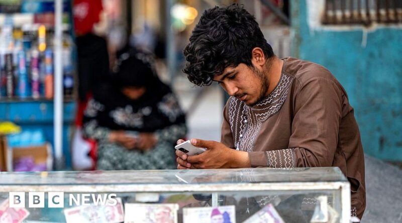 Afghanistan hit by internet blackout as Taliban cuts fibre optic cables