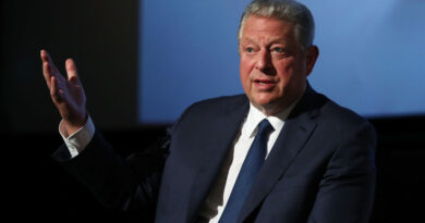 Al Gore on China's climate rise: 'I would not have seen this coming’ | TechCrunch