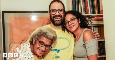 Alaa Abdel Fattah: British-Egyptian activist released from prison