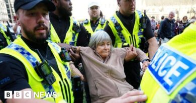 Arrests at pro-Palestine Action protest rise to 890