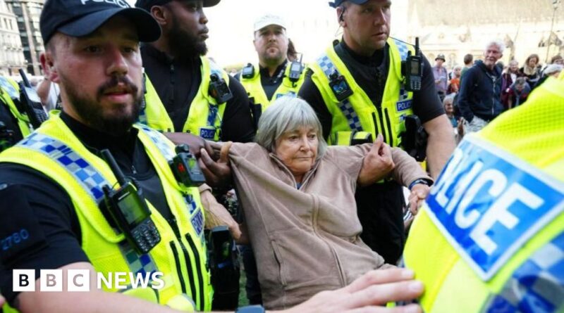 Arrests at pro-Palestine Action protest rise to 890