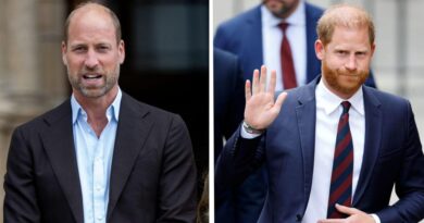 As Prince William and Prince Harry pay their respects to Queen Elizabeth, distance remains between them