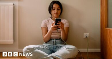 Australia's teen social media ban can be 'effective', report says