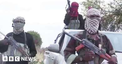 Borno State: Boko Haram kills at least 60 in overnight attack
