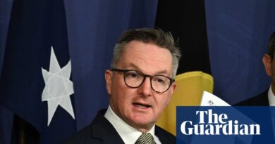 Bowen says cutting emissions by more than 70% ‘not achievable’ as 2035 target criticised from all sides