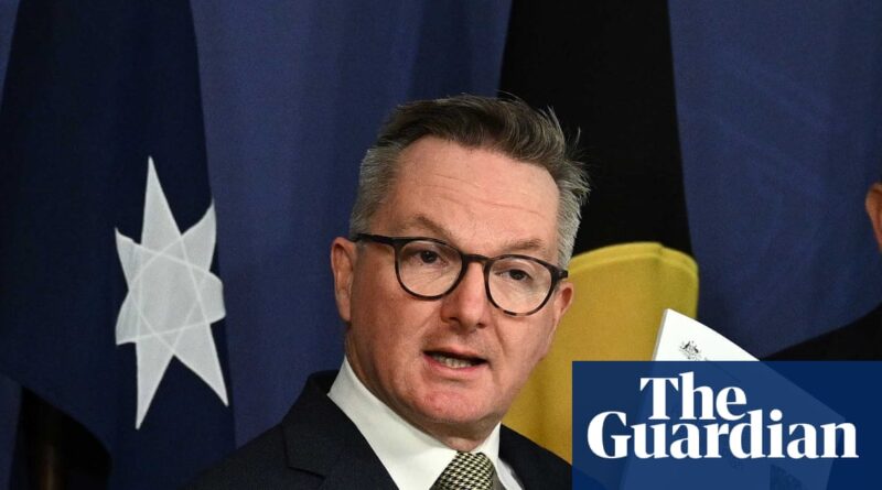 Bowen says cutting emissions by more than 70% ‘not achievable’ as 2035 target criticised from all sides