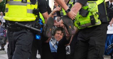 British police arrest over 400 at pro-Palestine London protest