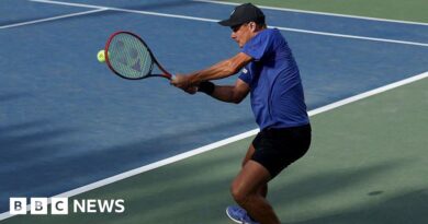 CEO who snatched boy's hat at US Open says he made 'huge mistake'