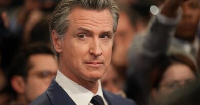 California Governor Newsom signs landmark AI safety bill SB 53 | TechCrunch